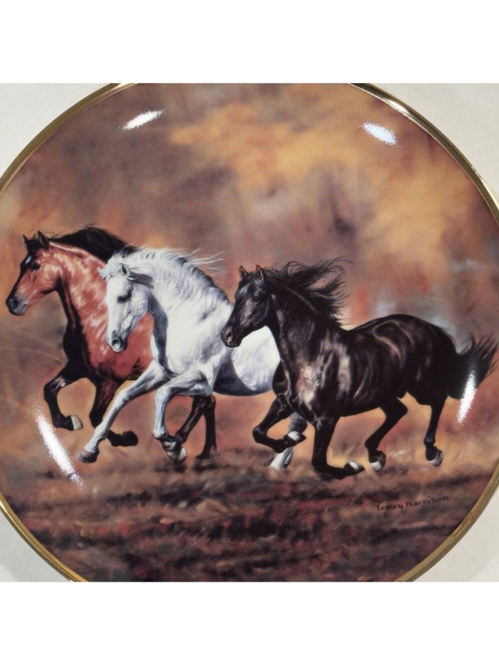 Vtg Brothers Of The Wind Limited Edition Collector Plate Wild At Heart Horses - Picture 3 of 10